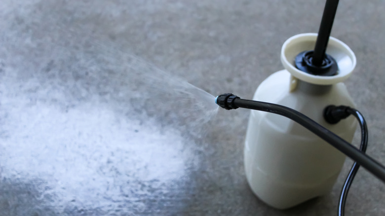 Pressure sprayer with magnesium chloride liquid