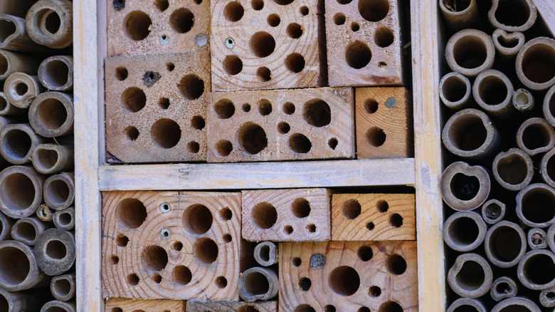 Closeup of a bee house with many holes drilled into wooden blocks