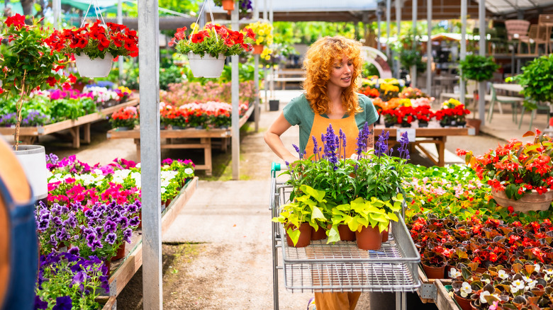 Young woman pushing a cart through a garden center full of potted plants