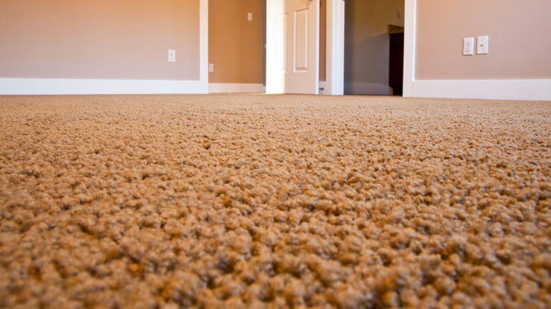 Orange wall-to-wall carpeting in a house