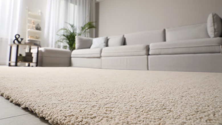 Floor with cream carpet