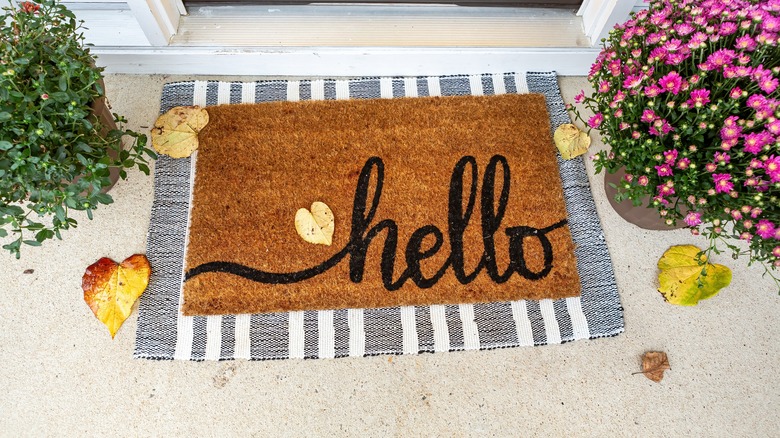 close up of front door hello welcome mat and potted flowers