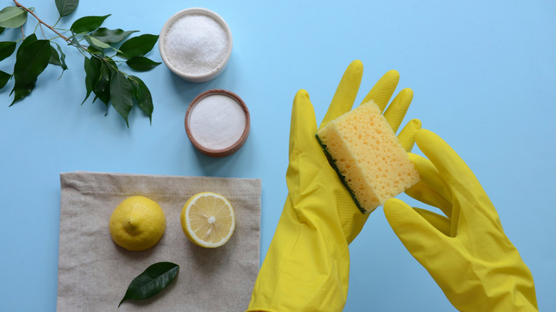 lemon and salt and gloved hands ready to clean