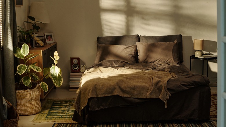 Shady bedroom with several houseplants