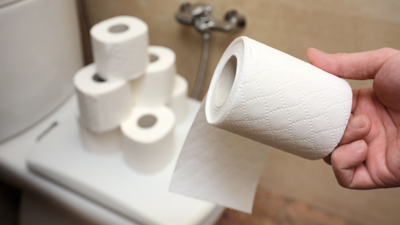 hand holding toilet paper roll