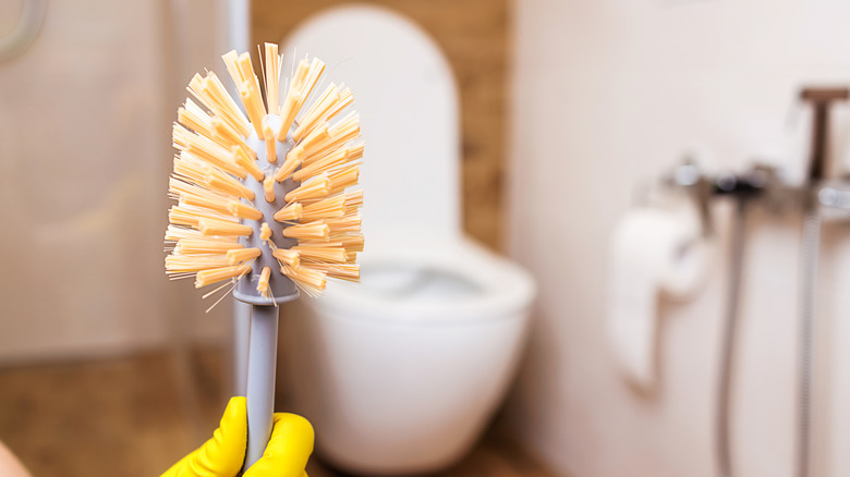 hand holding toilet brush