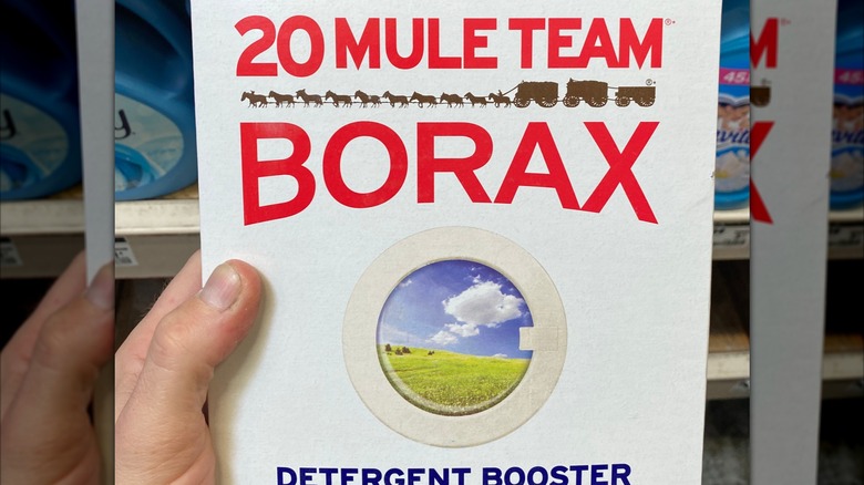 Hand holding a box of Borax in a cleaning aisle