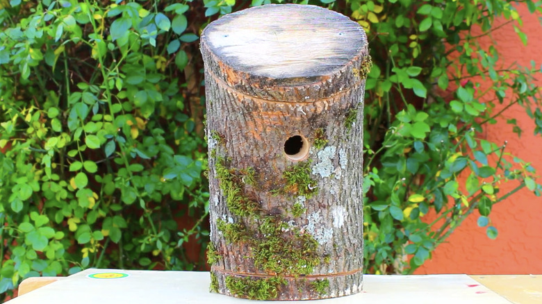 DIY birdhouse made out of old stump