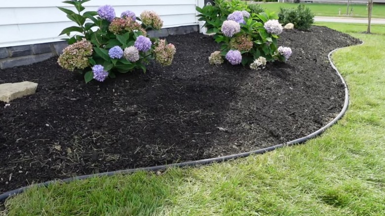 Edged garden bed