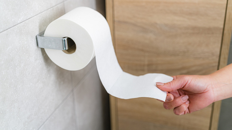 hand grabbing toilet paper roll end