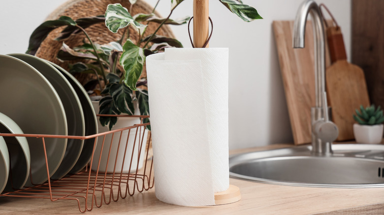 paper towel roll in a holder on the kitchen counter top