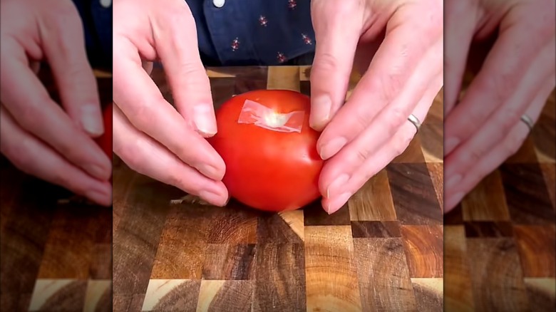 Hands placing tape on tomato stem hole