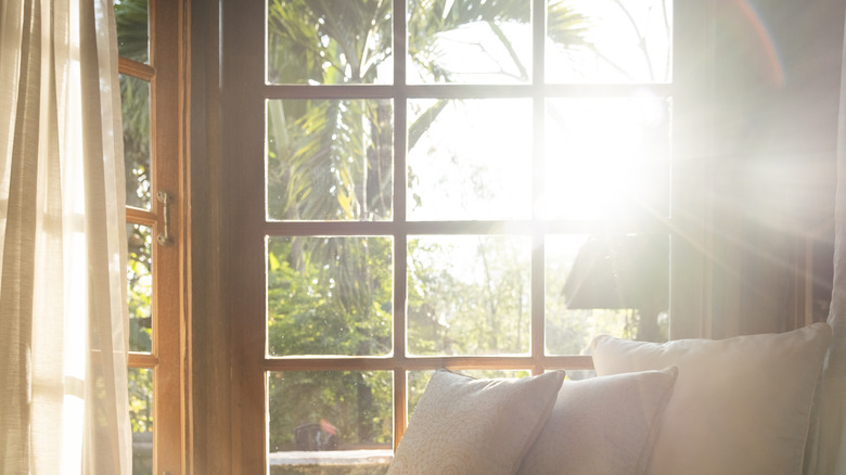 Bright sun shining through a paned window