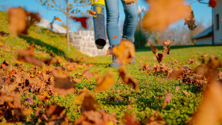 blower blowing leaves around a lawn close up