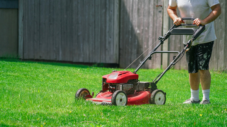 a gardener uses a lawn mower on their lawn