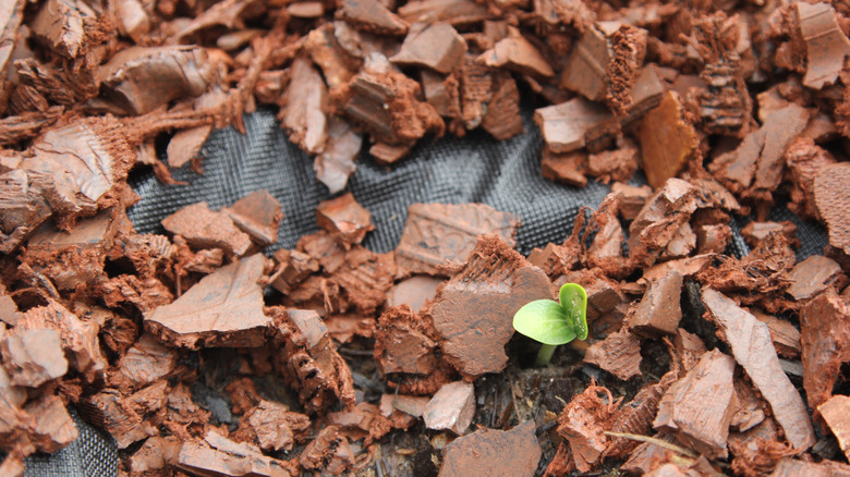red rubber mulch on mat