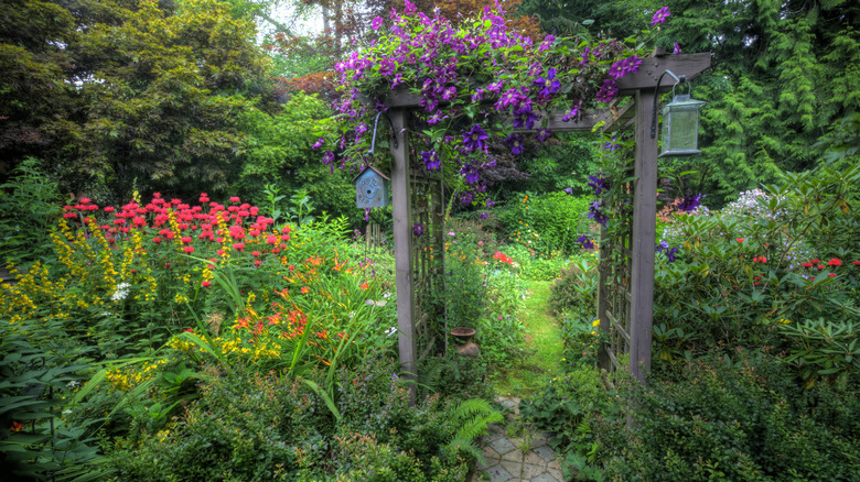 An arbor separating areas of a yard