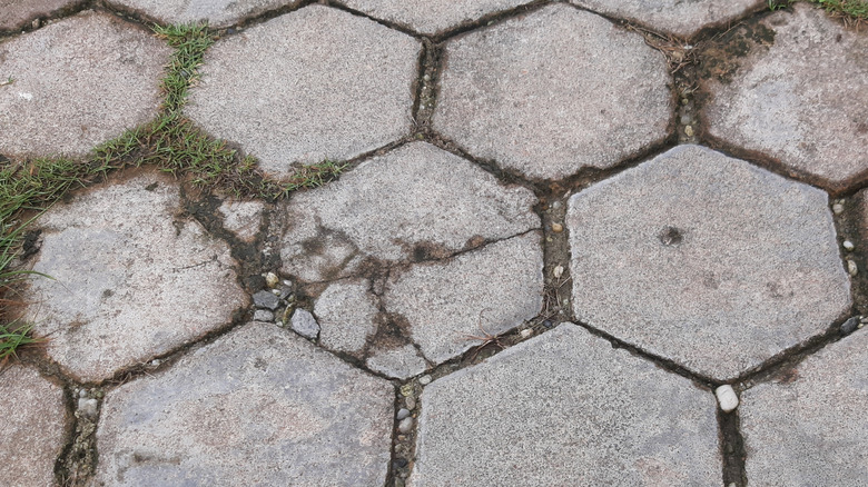 Cracked concrete pavers in a patio