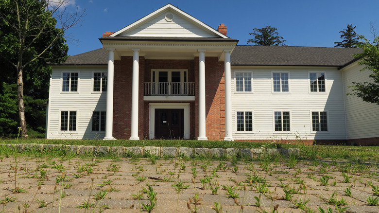 A driveway overgrown with weeds