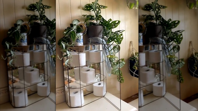 Glass cabinet toilet paper storage on counter