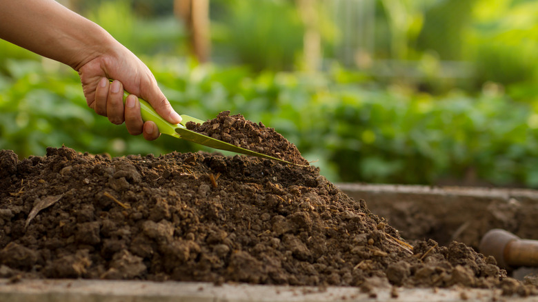 A hand digs in soil with a green trowel