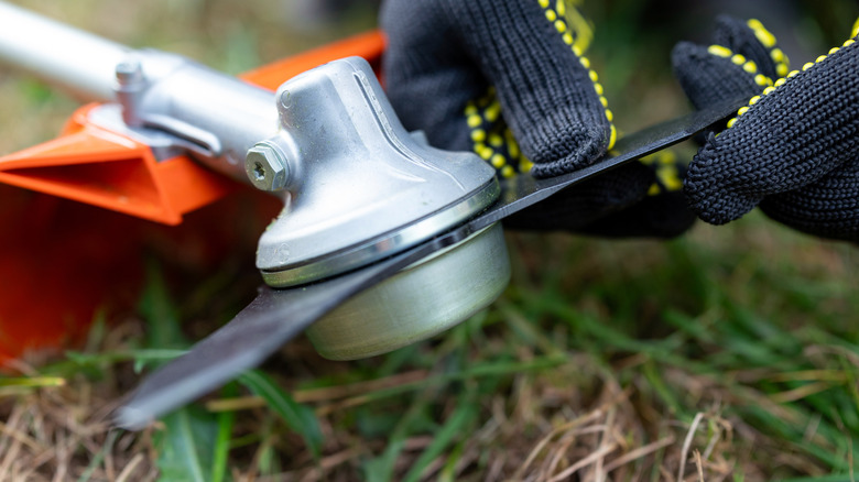 Using the AccuSharp All-In-1 to sharpen garden shears
