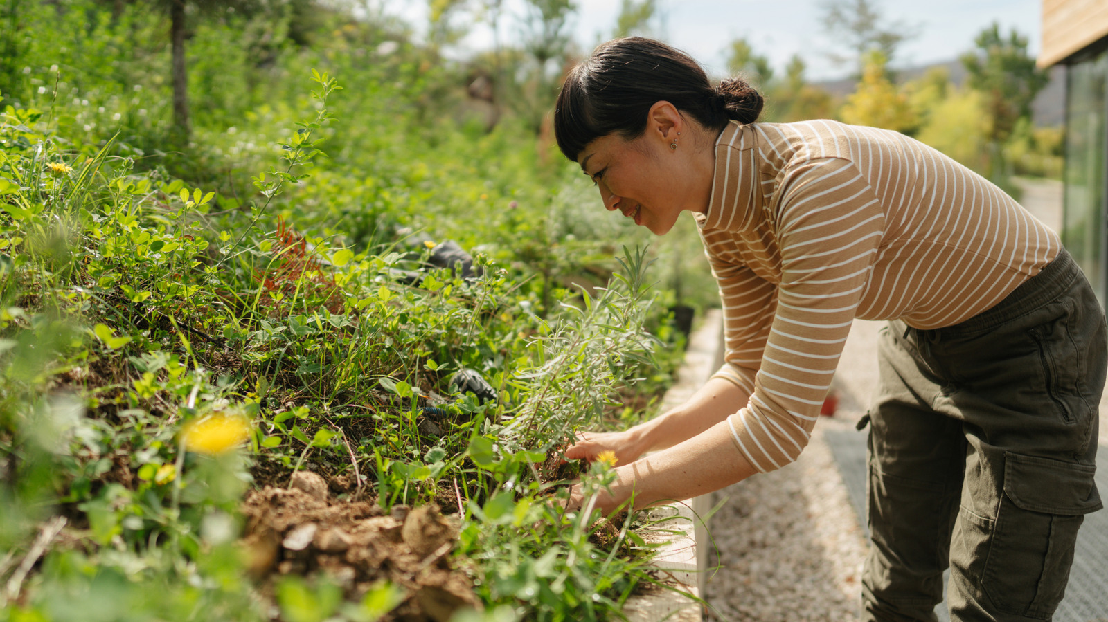 Trade In Landscape Gravel For A Cheaper, Weed-Resistant Alternative