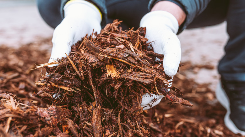 A person wearing white gloves holding wood mulch.