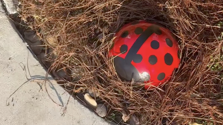 DIY ladybug bowling ball statue in a garden
