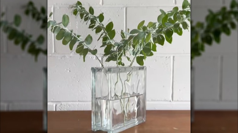 Glass brick used as a vase with greenery sticking out of the top