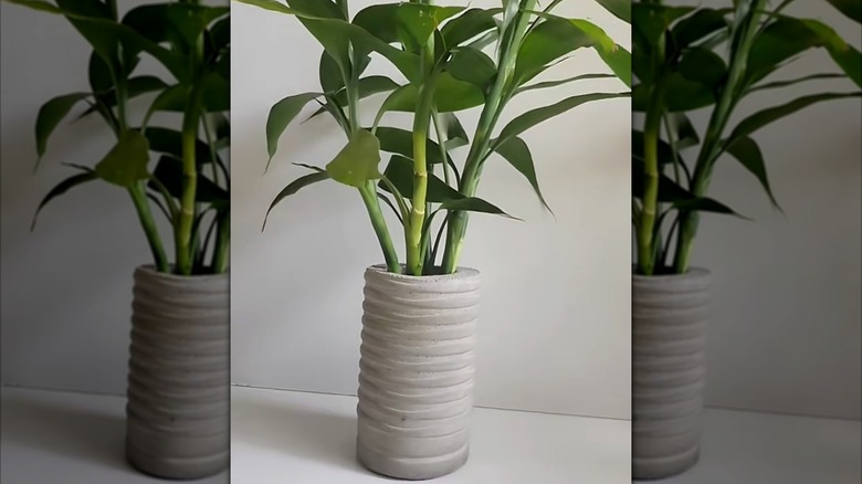DIY cement vase with glass jar inside