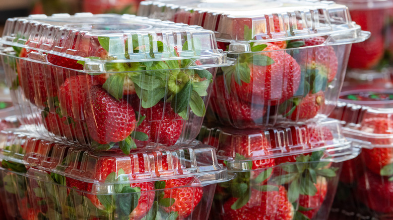 Clear plastic strawberry container