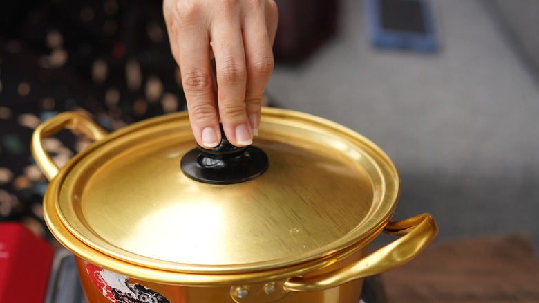 Person with hand on pot lid handle