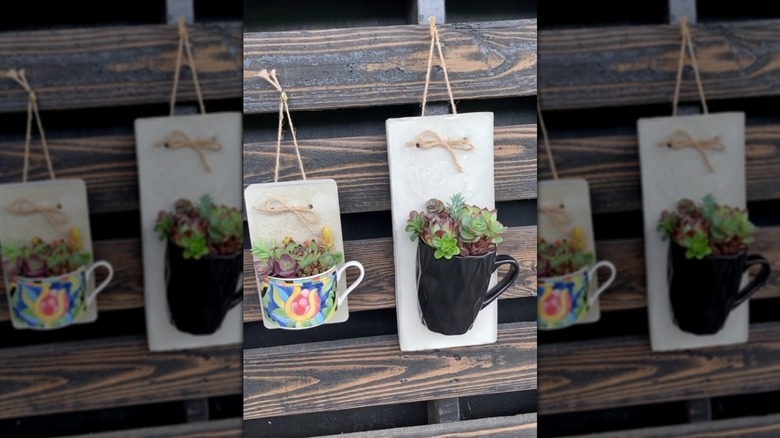 A teacup with succulents attached to a concrete hanger