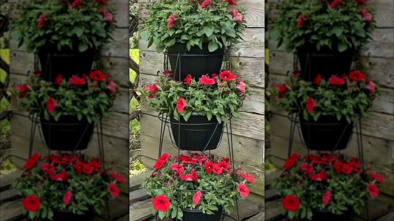 Tomato cage and hanging baskets turned into floral porch display
