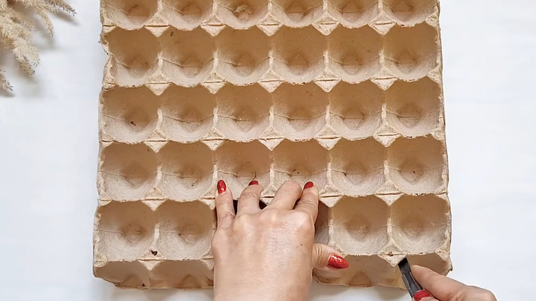 Creator cutting sections off an egg carton