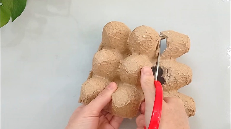 Woman cutting a bulk-sized cardboard egg carton with red scissors over white countertop