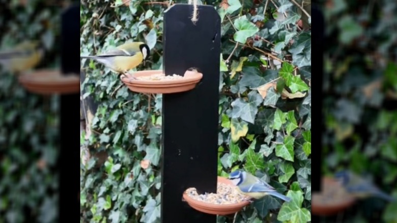 Hanging board bird feeder