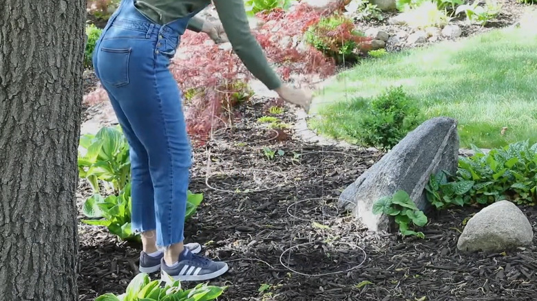 A person in overalls standing next to upside-down tomato cage in landscaped yard