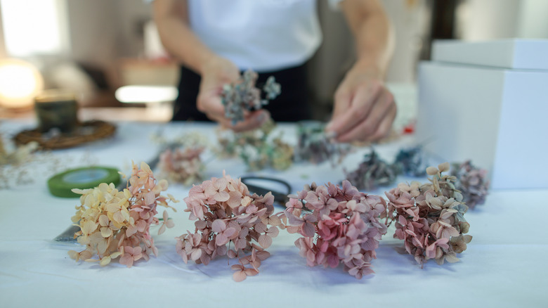 Person working with cut hydrangeas