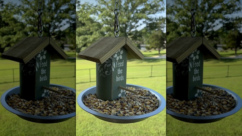 A green DIY wooden bird house hanging from a tree in a green yard on a bright sunny day