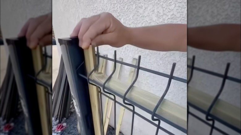 Person creating a privacy fence by sliding wood slats into a curved wire fence.