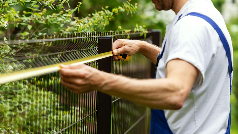 Person measuring a curved, wire grid fence for a project.