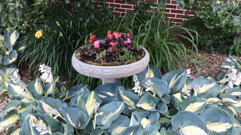 flowers in birdbath plant stand