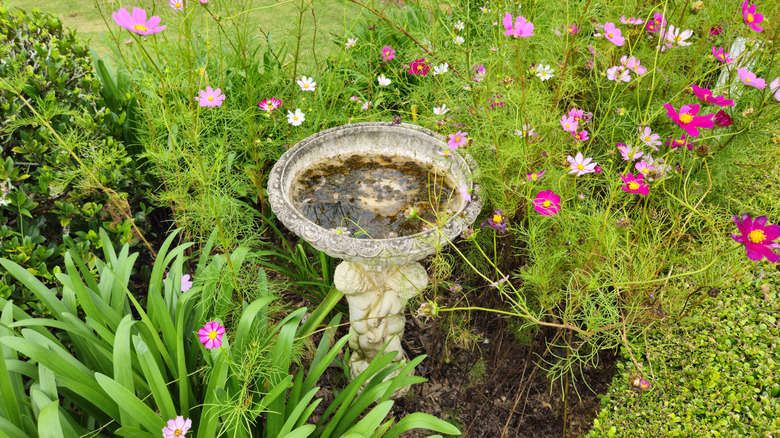 Turn An Old Birdbath Into A Clever Plant Stand