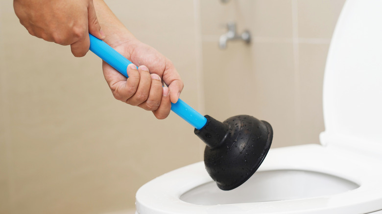 Man holding plunger above toilet