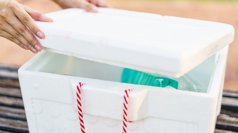 Hands lift the lid off a white styrofoam cooler