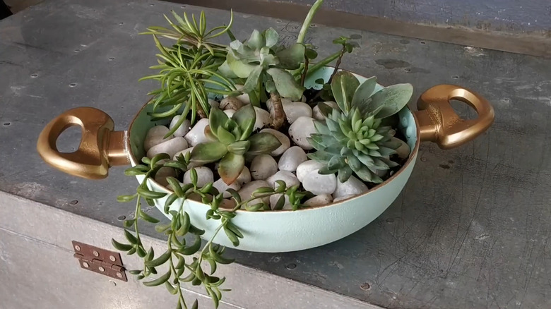 Succulent planter made from a double-handled frying pan with rocks on top of the soil