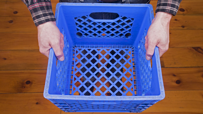 Person holding a blue milk crate