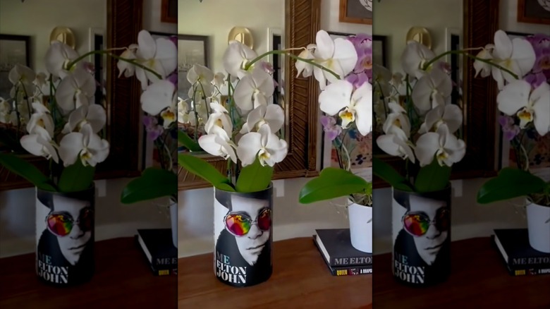 DIY plastic vase with book cover